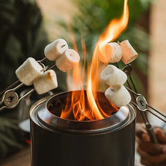 Mini Roasting Sticks, BBQ Sticks, Skewers | Accessory Collection
